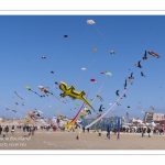 Rencontres Internationnales de Cerfs-Volants 2018 à Berck-sur-mer