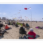 Rencontres Internationnales de Cerfs-Volants 2018 à Berck-sur-mer