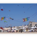 Rencontres Internationnales de Cerfs-Volants 2018 à Berck-sur-mer