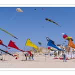 Rencontres Internationnales de Cerfs-Volants 2018 à Berck-sur-mer