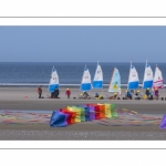 Rencontres Internationnales de Cerfs-Volants 2018 à Berck-sur-mer