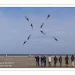 Rencontres Internationnales de Cerfs-Volants 2018 à Berck-sur-mer