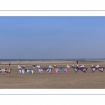 Rencontres Internationnales de Cerfs-Volants 2018 à Berck-sur-mer