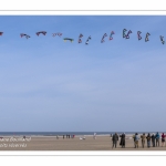 Rencontres Internationnales de Cerfs-Volants 2018 à Berck-sur-mer