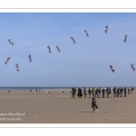 Rencontres Internationnales de Cerfs-Volants 2018 à Berck-sur-mer