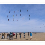 Rencontres Internationnales de Cerfs-Volants 2018 à Berck-sur-mer