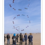 Rencontres Internationnales de Cerfs-Volants 2018 à Berck-sur-mer