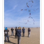 Rencontres Internationnales de Cerfs-Volants 2018 à Berck-sur-mer