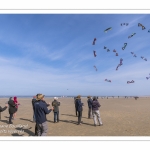 Rencontres Internationnales de Cerfs-Volants 2018 à Berck-sur-mer