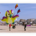 Rencontres Internationnales de Cerfs-Volants 2018 à Berck-sur-mer