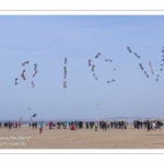 Rencontres Internationnales de Cerfs-Volants 2018 à Berck-sur-mer