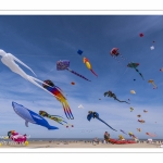 Rencontres Internationnales de Cerfs-Volants 2018 à Berck-sur-mer