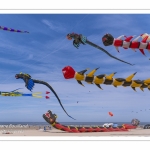 Rencontres Internationnales de Cerfs-Volants 2018 à Berck-sur-mer