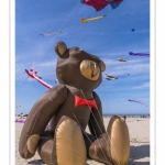 Rencontres Internationnales de Cerfs-Volants 2018 à Berck-sur-mer