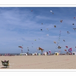 Rencontres Internationnales de Cerfs-Volants 2018 à Berck-sur-mer