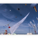 Rencontres Internationnales de Cerfs-Volants 2018 à Berck-sur-mer