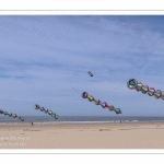 Rencontres Internationnales de Cerfs-Volants 2018 à Berck-sur-mer