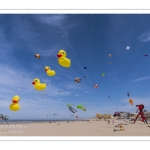 Rencontres Internationnales de Cerfs-Volants 2018 à Berck-sur-mer