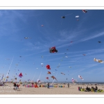 Rencontres Internationnales de Cerfs-Volants 2018 à Berck-sur-mer