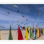 Rencontres Internationnales de Cerfs-Volants 2018 à Berck-sur-mer