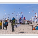 Rencontres Internationnales de Cerfs-Volants 2018 à Berck-sur-mer