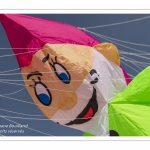 Rencontres Internationnales de Cerfs-Volants 2018 à Berck-sur-mer