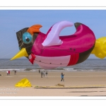 Rencontres Internationnales de Cerfs-Volants 2018 à Berck-sur-mer