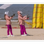 Rencontres Internationnales de Cerfs-Volants 2018 à Berck-sur-mer