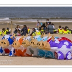 Rencontres Internationnales de Cerfs-Volants 2018 à Berck-sur-mer