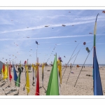 Rencontres Internationnales de Cerfs-Volants 2018 à Berck-sur-mer