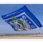 Rencontres Internationnales de Cerfs-Volants 2018 à Berck-sur-mer