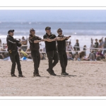 Rencontres Internationnales de Cerfs-Volants 2018 à Berck-sur-mer