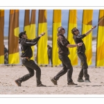 Rencontres Internationnales de Cerfs-Volants 2018 à Berck-sur-mer