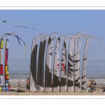 Rencontres Internationnales de Cerfs-Volants 2018 à Berck-sur-mer