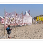 Rencontres Internationnales de Cerfs-Volants 2018 à Berck-sur-mer