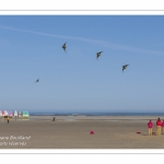 Rencontres Internationnales de Cerfs-Volants 2018 à Berck-sur-mer