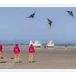 Rencontres Internationnales de Cerfs-Volants 2018 à Berck-sur-mer