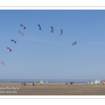 Rencontres Internationnales de Cerfs-Volants 2018 à Berck-sur-mer