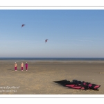 Rencontres Internationnales de Cerfs-Volants 2018 à Berck-sur-mer