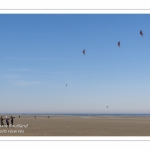 Rencontres Internationnales de Cerfs-Volants 2018 à Berck-sur-mer