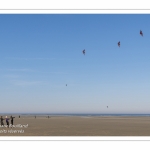 Rencontres Internationnales de Cerfs-Volants 2018 à Berck-sur-mer