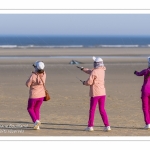 Rencontres Internationnales de Cerfs-Volants 2018 à Berck-sur-mer