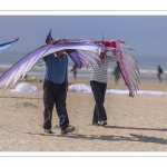 Rencontres Internationnales de Cerfs-Volants 2018 à Berck-sur-mer