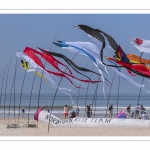 Rencontres Internationnales de Cerfs-Volants 2018 à Berck-sur-mer