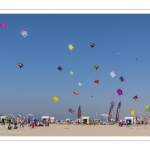 Rencontres Internationnales de Cerfs-Volants 2018 à Berck-sur-mer