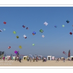 Rencontres Internationnales de Cerfs-Volants 2018 à Berck-sur-mer