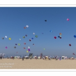 Rencontres Internationnales de Cerfs-Volants 2018 à Berck-sur-mer