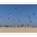 Rencontres Internationnales de Cerfs-Volants 2018 à Berck-sur-mer