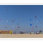 Rencontres Internationnales de Cerfs-Volants 2018 à Berck-sur-mer