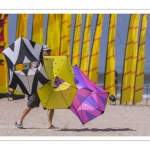 Rencontres Internationnales de Cerfs-Volants 2018 à Berck-sur-mer